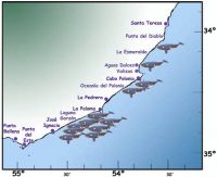 Ballena Franca Austral